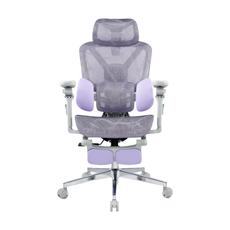 3003 Ergonomic Office Chair With 5D Armrests And Footrest