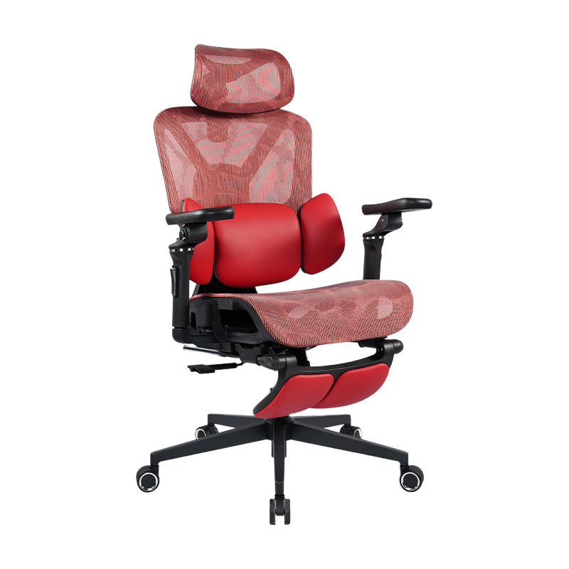 3003 Ergonomic Office Chair With 5D Armrests And Footrest