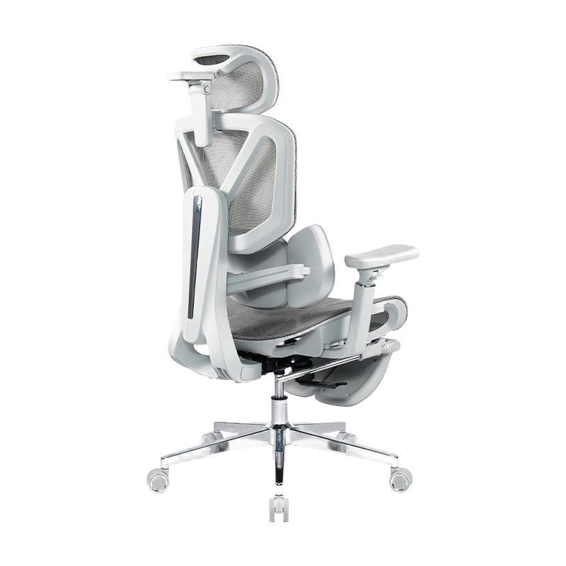 3003 Ergonomic Office Chair With 5D Armrests And Footrest